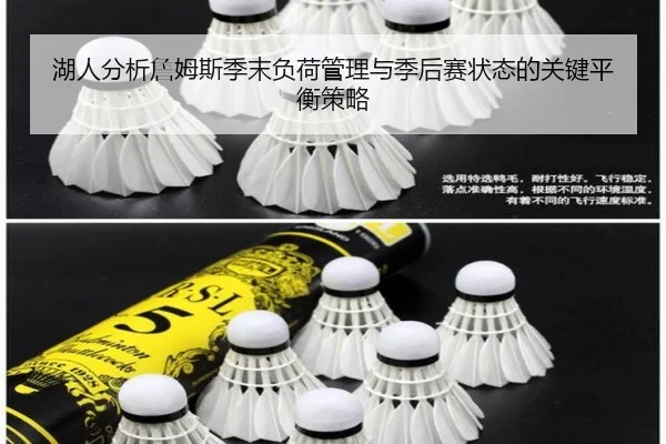 湖人分析詹姆斯季末负荷管理与季后赛状态的关键平衡策略（okooo）